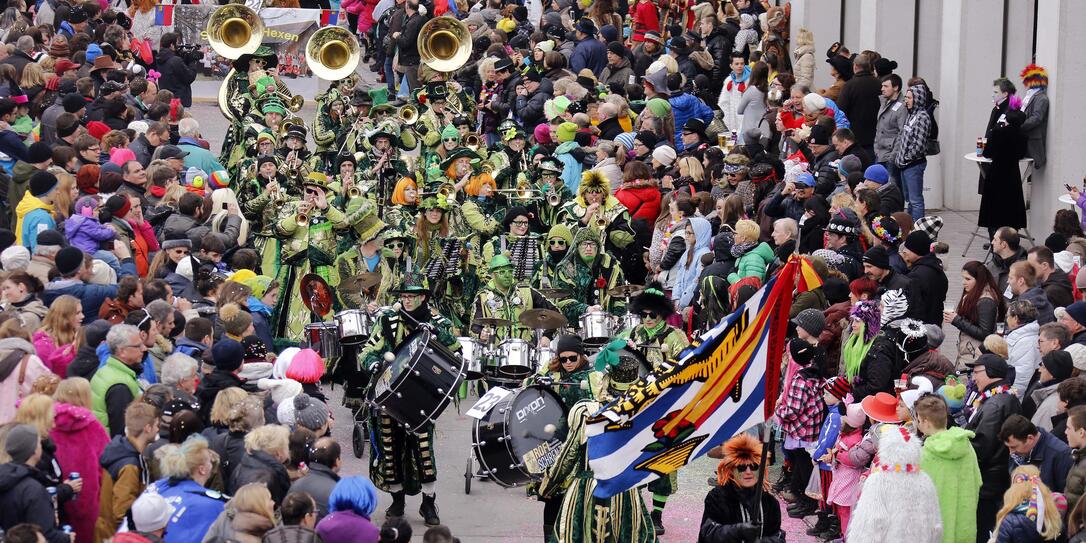 Fasnacht 2014 - Fasnachtsumzug Fasnacht 2014 - Fasnachtsumzug