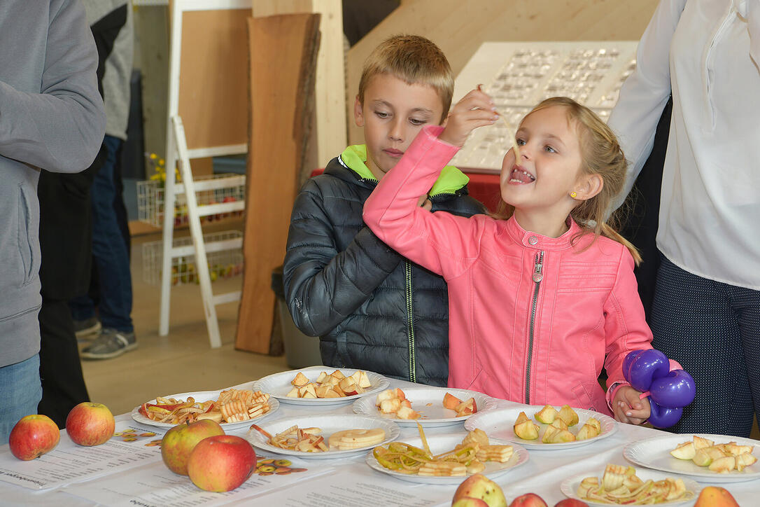 Obstsortenausstellung in Salez