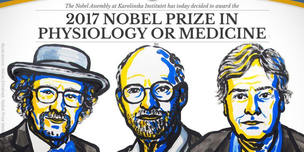 Der diesjährige Medizin-Nobelpreis geht an die Entdecker der Mechanismen hinter unserer "Inneren Uhr".