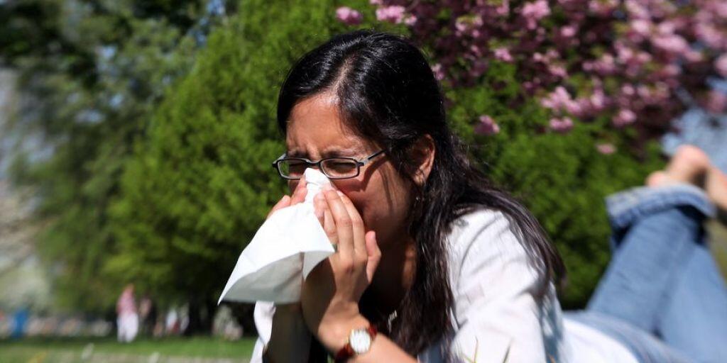 Durch ihre Einträge in ein "Allergietagebuch" können Allergiker selber zur schweizweit grösste Studie zu Pollenallergien beitragen. (Archivbild)