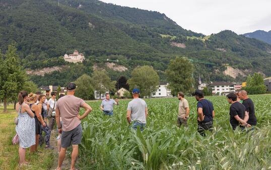Kulinarik Feld Flurgang in Vaduz