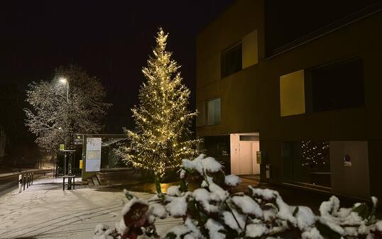Seit 2011 hat es am 24. Dezember nicht mehr in Gamprin geschneit.
