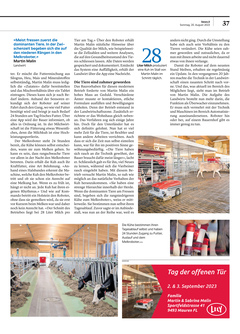 Seite 037