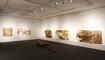 Vernissage zur Ausstellung: "Erdpech" von Daniel Stiefel, Domus,