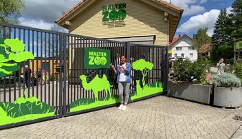 Hoi Summer: Walter Zoo