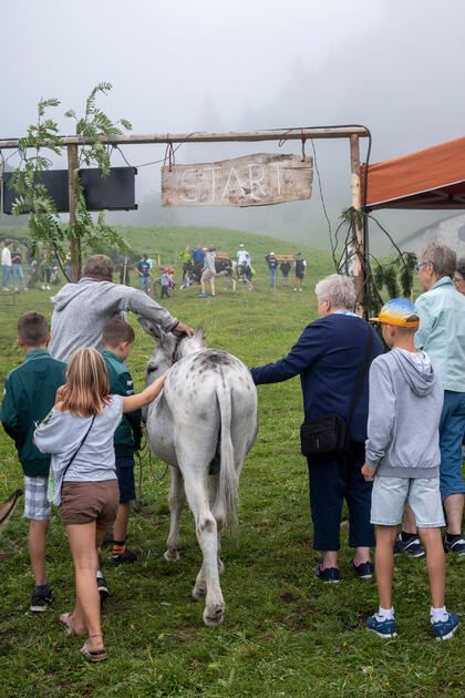 Eselfest in Malbun