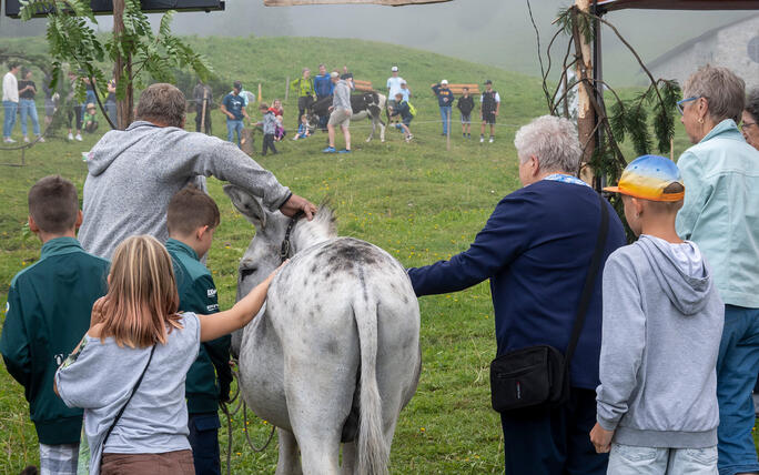 Eselfest in Malbun