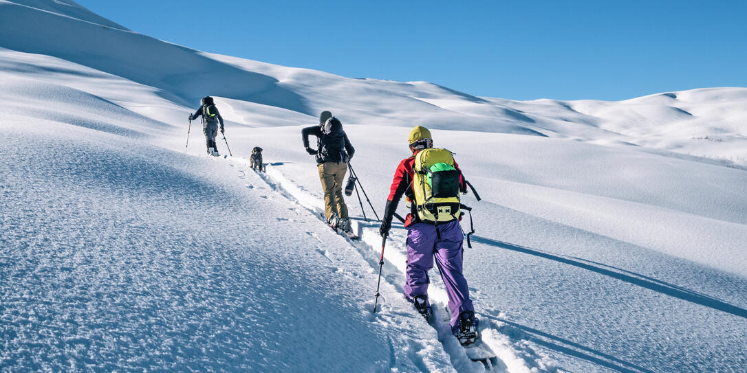 Active people ski touring