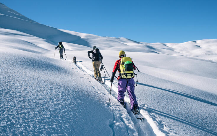 Active people ski touring