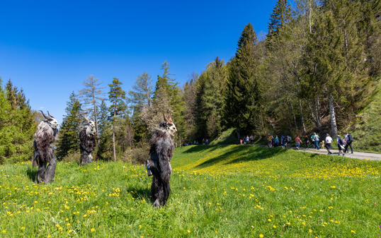 Sagenfest in Triesenberg