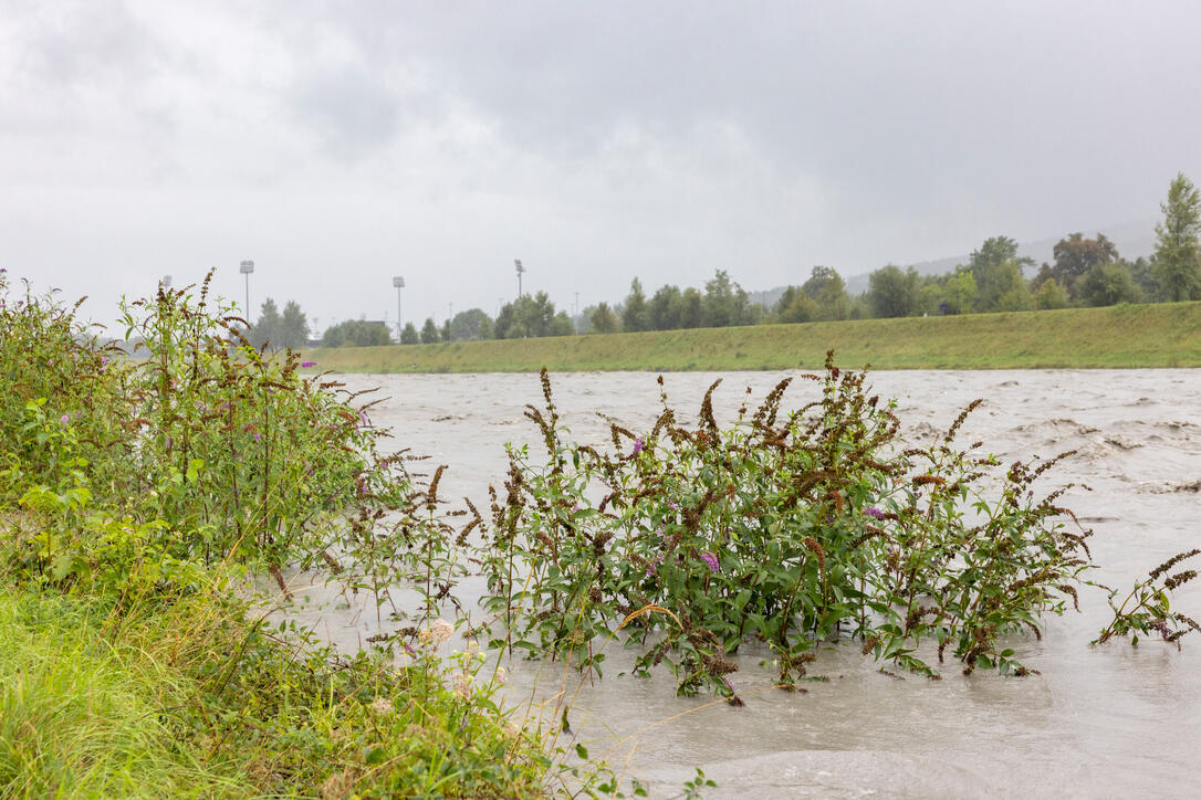 Hochwasser am Rhein