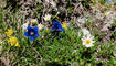 Wanderung Drei Schwestern