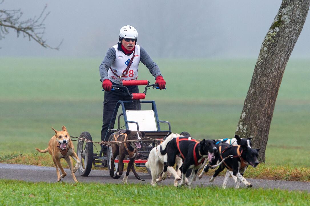 Wagenrennen vom Schlittenhundeverein Liechtenstein