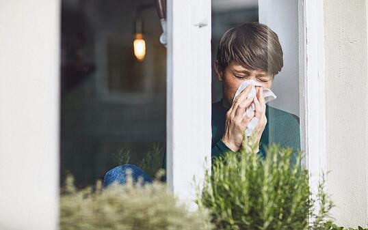 Single,kurzhaarig,Fenster,Taschentuch,Zuhause,Aussenaufnahme,Tag,Augen geschlossen,Kuechenkraut,Freizeitkleidung,Erkaeltung,Textfreiraum,Isolation,erkaeltet,Wohnung,Papiertaschentuch,Abgrenzung,Absonderung,Schwierigkeit,Wohnen,Nase putzen,Schnupfen,stay a