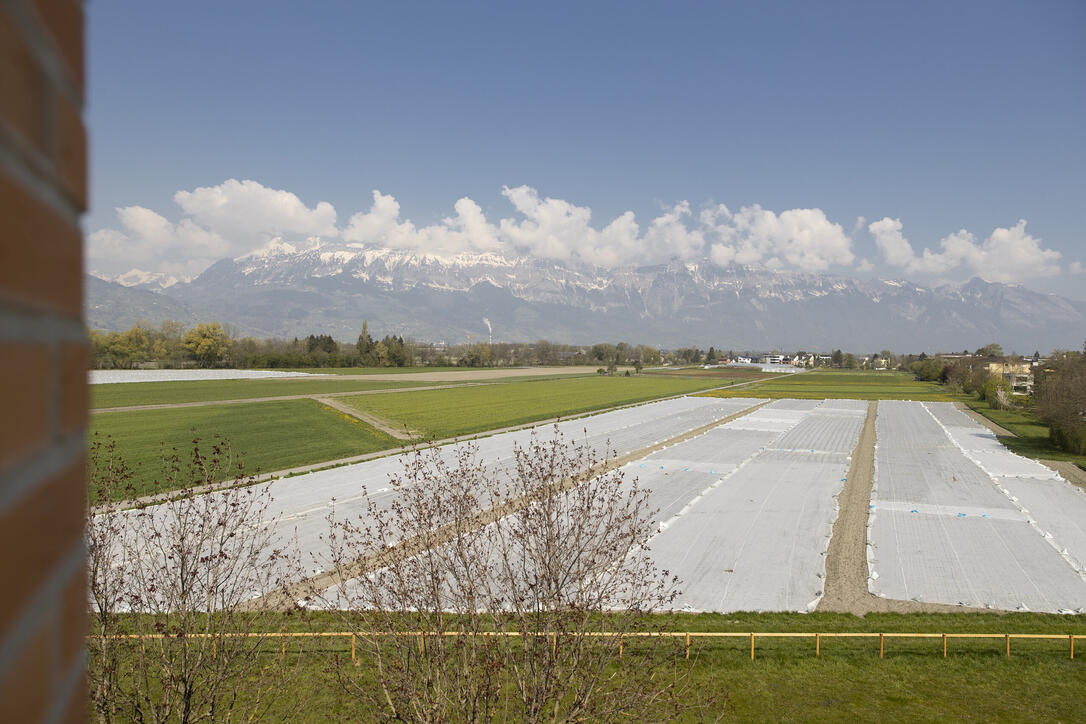 Eröffnung der Jugendherberge Schaan-Vaduz