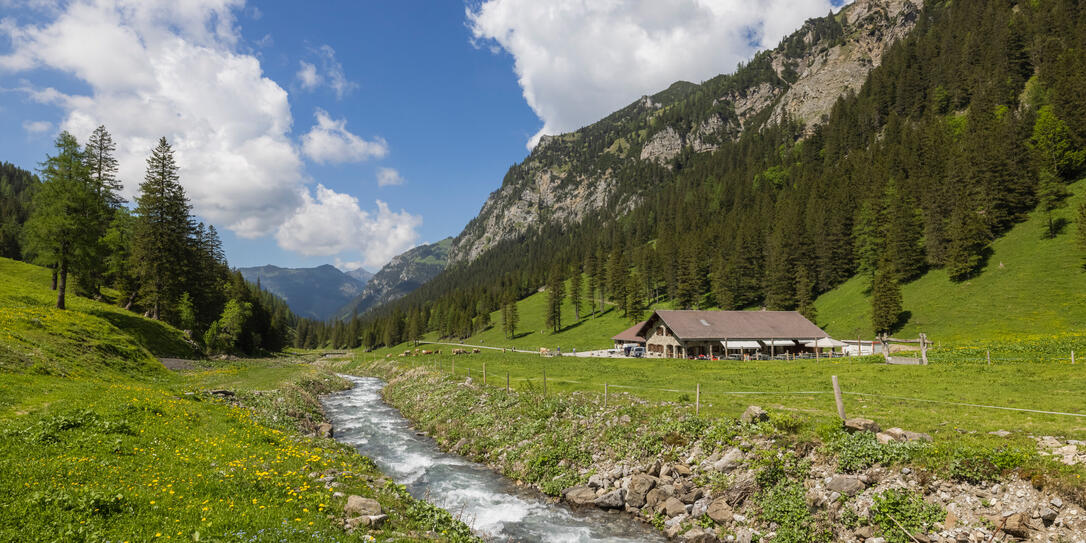 Alp Valüna Alp Valüna
