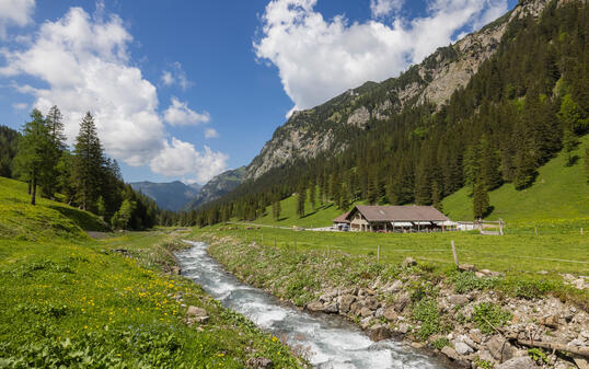 Alp Valüna