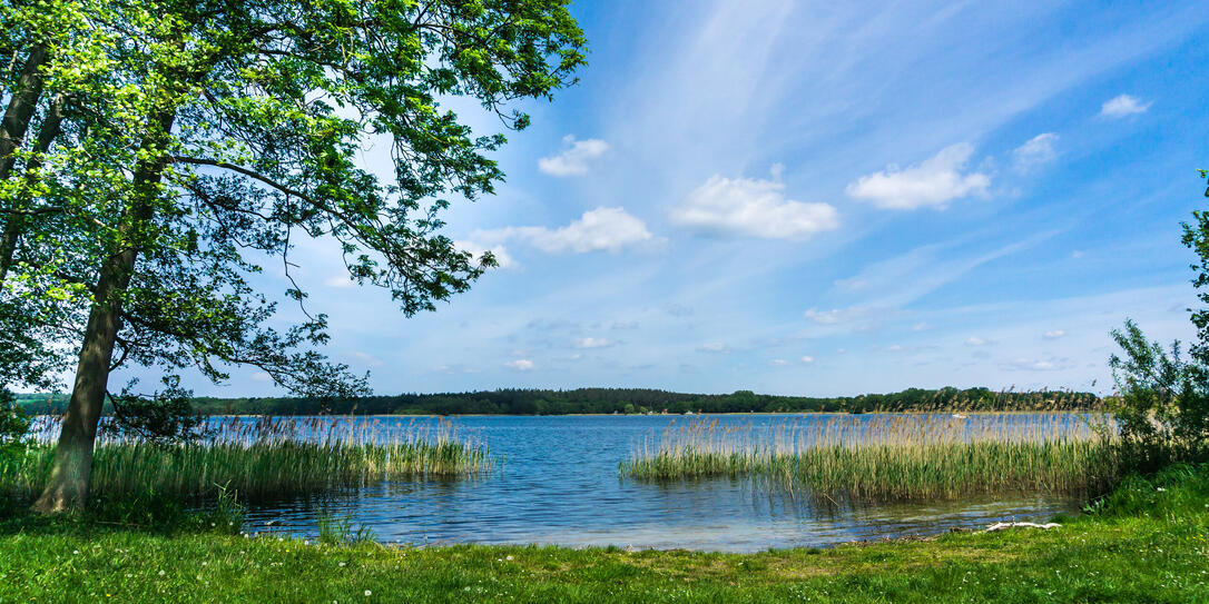 swimming spot at lake Krakower See