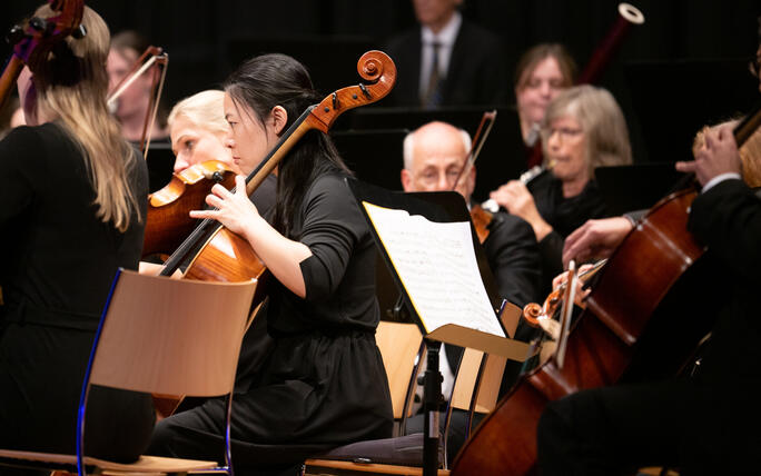 Herbstkonzert Orchester Liechtenstein Werdenberg