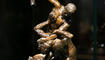 «Eines Fürsten würdig. Der Mars von Giambologna» im Landesmuseum