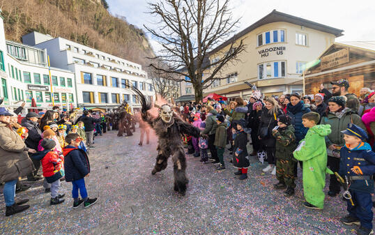 Fasnachtsumzug in Vaduz