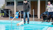 Hundeschwimmen im Freibad Salez