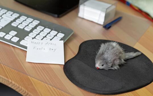 The computer mouse has been replaced with a plush toy mouse. April Fool's joke