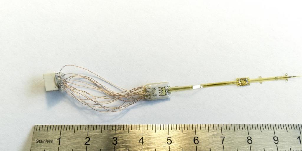 Mithilfe eines neuen Elektrodentyps liesse sich der Sehnerv stimulieren und damit Lichteindrücke erzeugen.