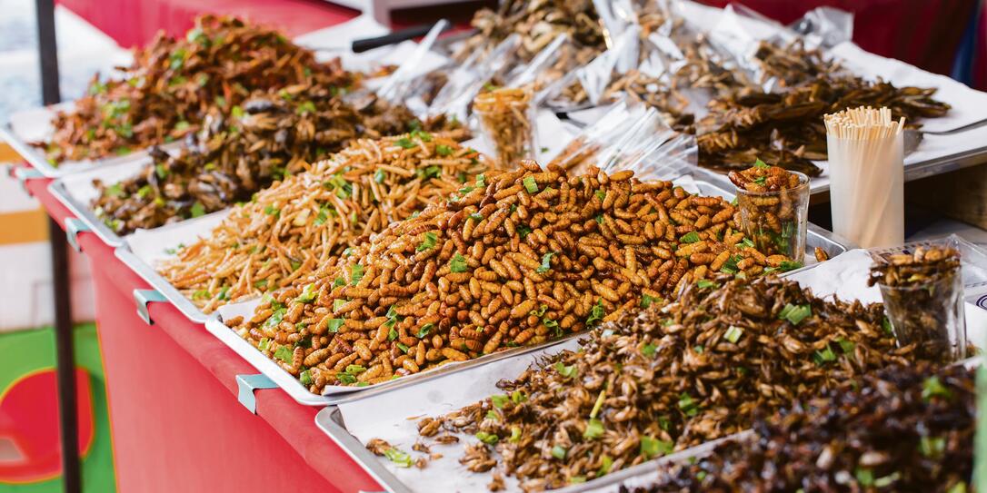 Bug fried sale business Asian Insect Snack food, High Protein from nature.