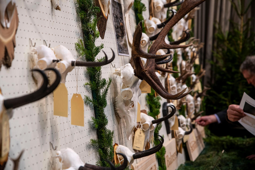 Hegeschau, in Schaan (28.02.2026)