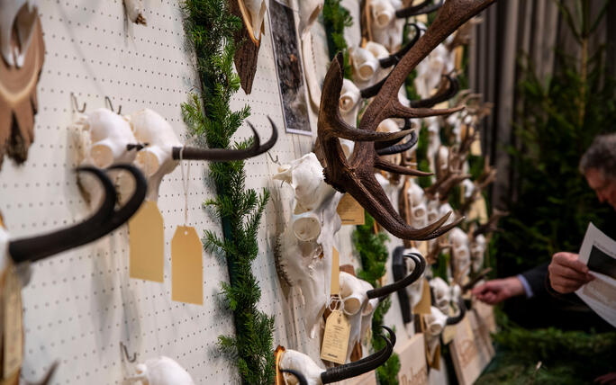 Hegeschau, in Schaan (28.02.2026)