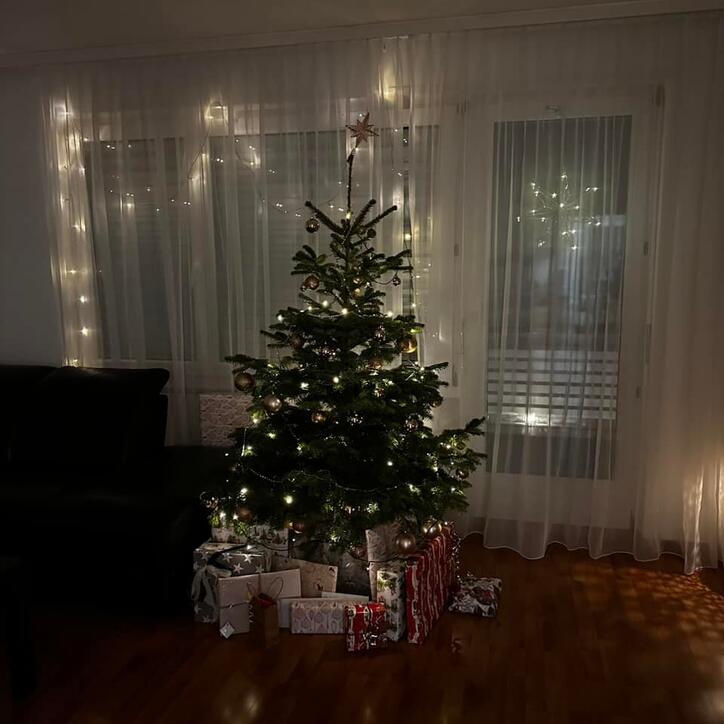 Fotowettbewerb: Zeig uns Deinen Christbaum 2022