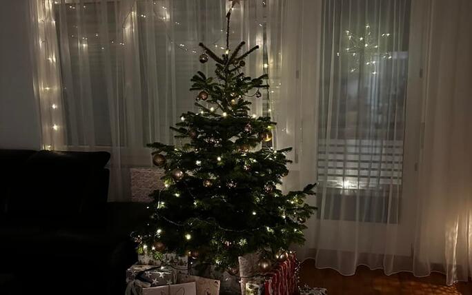 Fotowettbewerb: Zeig uns Deinen Christbaum 2022