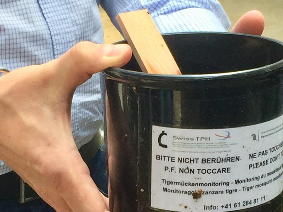 Eine Tigermückenfalle am Schweizerischen Tropen- und Public Health-Institut in Basel.