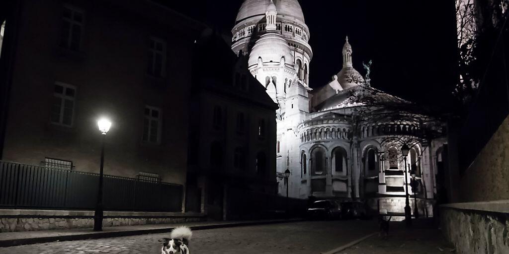 Hunde laufen eine menschleere Straße in der Nähe der Basilika Sacre-Coeur entlang. Aufgrund der Corona-Pandemie befindet sich Paris im Lockdown. Foto: Alain Jocard/AFP/dpa Hunde laufen eine menschleere Straße in der Nähe der Basilika Sacre-Coeur entlang. Aufgrund der Corona-Pandemie befindet sich Paris im Lockdown. Foto: Alain Jocard/AFP/dpa