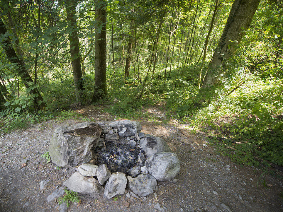 Grillieren im Wald verboten: Auch die Kantone Freiburg und Neuenburg erlassen wegen der Waldbrandgefahr ein Feuerverbot im Wald und in Waldesnähe. (Archiv)