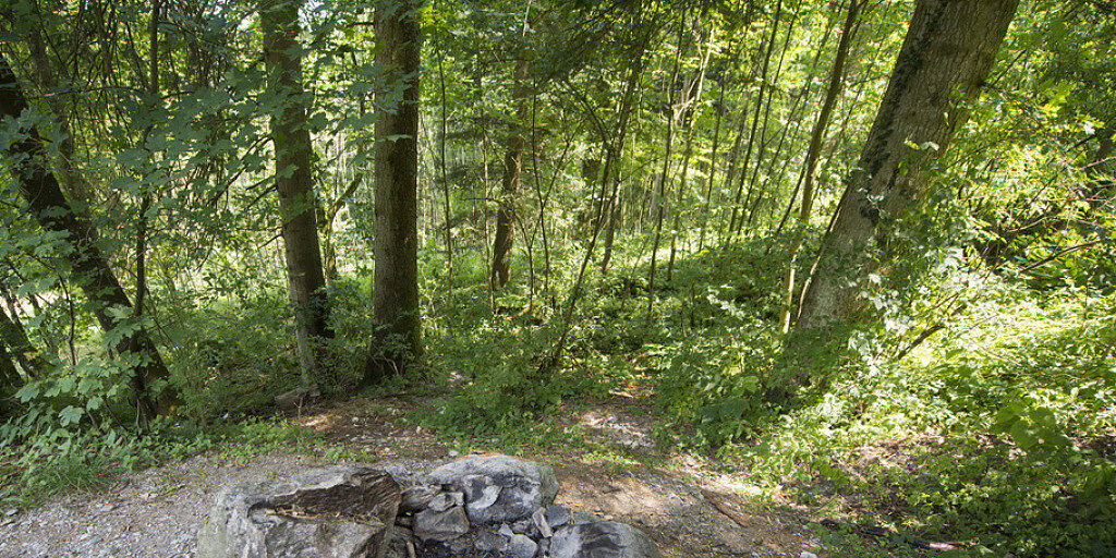 Grillieren im Wald verboten: Auch die Kantone Freiburg und Neuenburg erlassen wegen der Waldbrandgefahr ein Feuerverbot im Wald und in Waldesnähe. (Archiv)