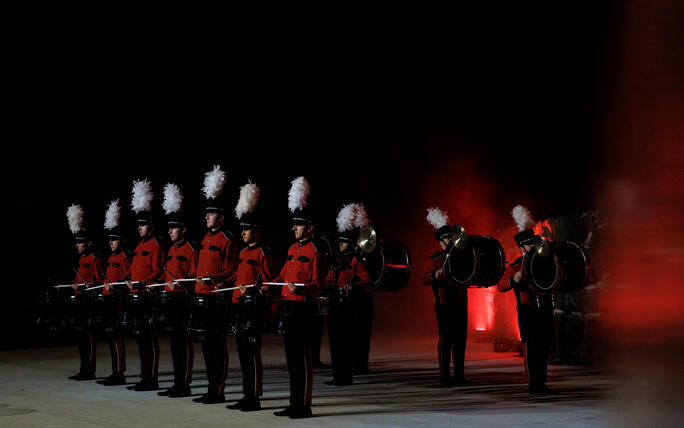 The Princely Liechtenstein Tattoo in Schellenberg