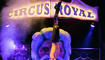 Circus Royal in Buchs