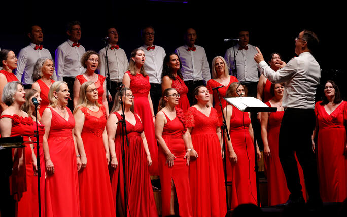 Jubiläumskonzert «30 Jahre Divertimento Chor». 20.06.2026.
