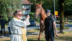 Tiersegnung in Gamprin (03.10.2026)