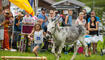 Eselfest in Malbun