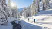 Winter in Steg