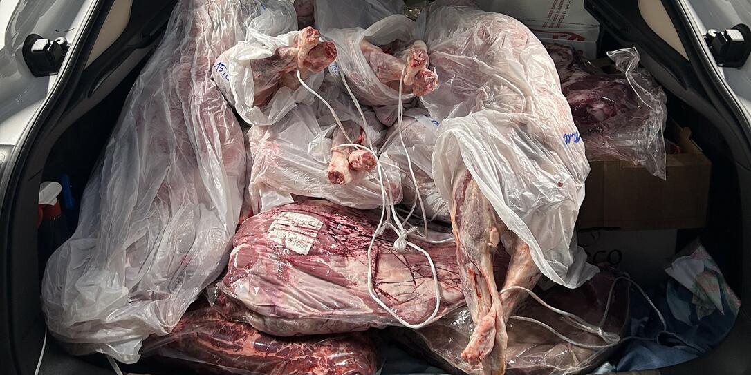 Das ungekühlte und unverzolltesFleisch.