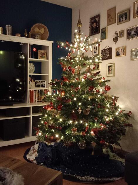 Fotowettbewerb: Zeig uns Deinen Christbaum 2022