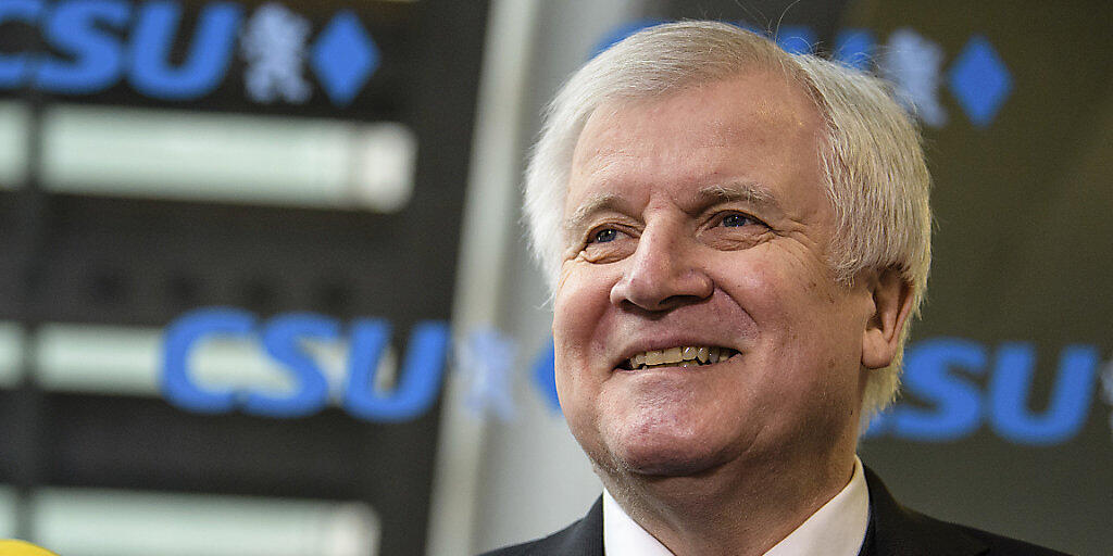 Zufrieden: CSU-Chef Horst Seehofer.