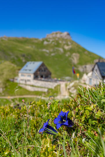 Pfälzerhütte in Malbu