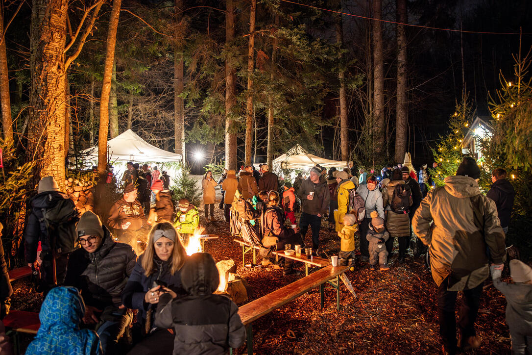 Nikolaus im Walde, Schellenberg (07.12.2024)