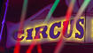 Circus Royal in Buchs