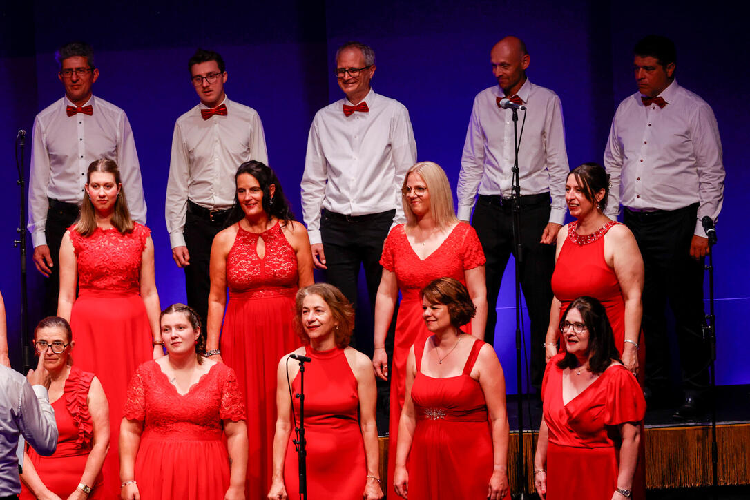 Jubil&auml;umskonzert &laquo;30 Jahre Divertimento Chor&raquo;. 20.06.2026.